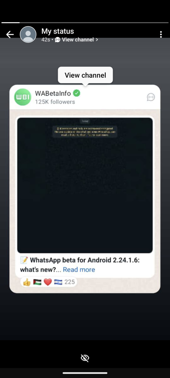 WhatsApp channel updates status user interface